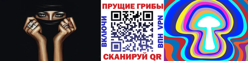 продажа наркотиков кракен зеркало Галлюциногенные грибы Magic Shrooms Поронайск